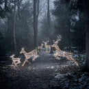 Conjunto Natalino de 5 Renas Iluminadas com LED em Duas Cores